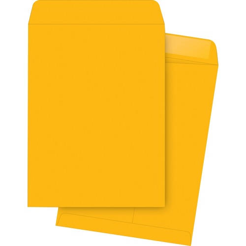Catalog Envelopes, Plain, 9-1/2"x12-1/2", 250/BX, Kraft
