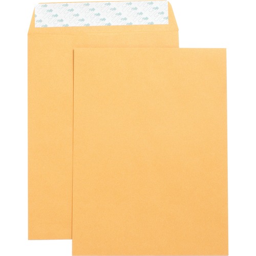 Catalog Envelopes,Self Seal,Plain,9"x12",250/BX,Kraft